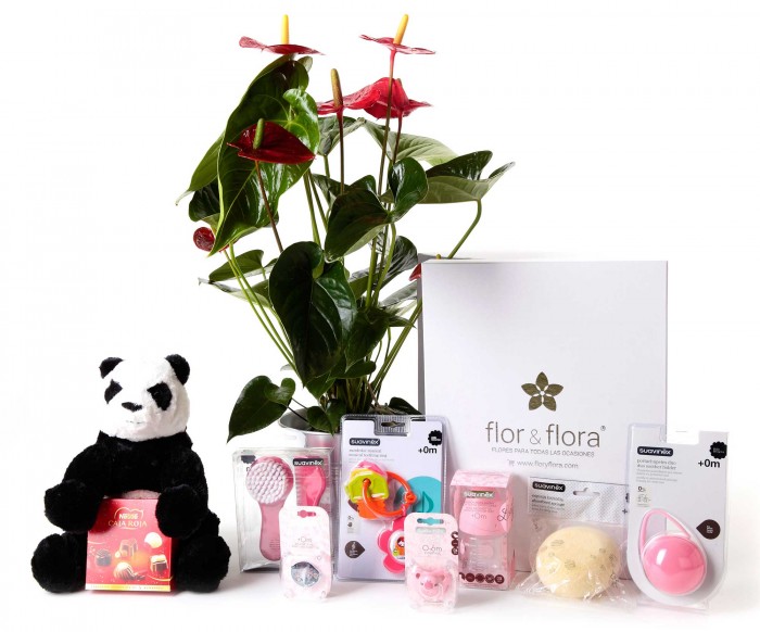 Anthurium y caja regalo total rosa + peluche_anthurium-+caja-grande-blanca-+total-rosa