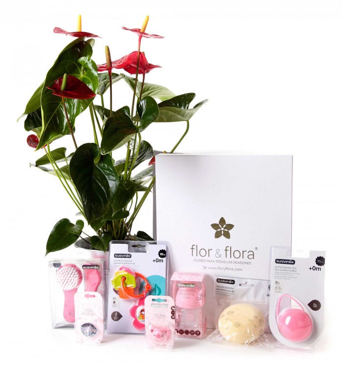 Anthurium y caja regalo total rosa_anthurium-+caja-blanca-grande-+-total-farma-rosa
