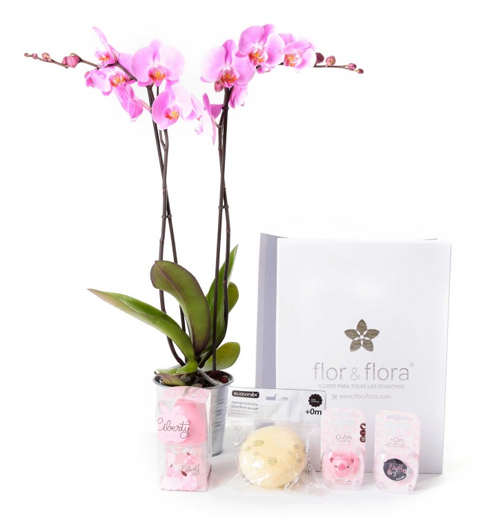 Caja regalo plus rosa_orquidea-+caja-blanca-pequeña-rosa