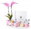 Caja regalo tota rosa_orquidea-+caja-blanca-grande-+-total-farma-rosa
