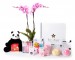Caja regalo total rosa + peluche y bombones_orquidea-+caja-grande-blanca-+total-rosa